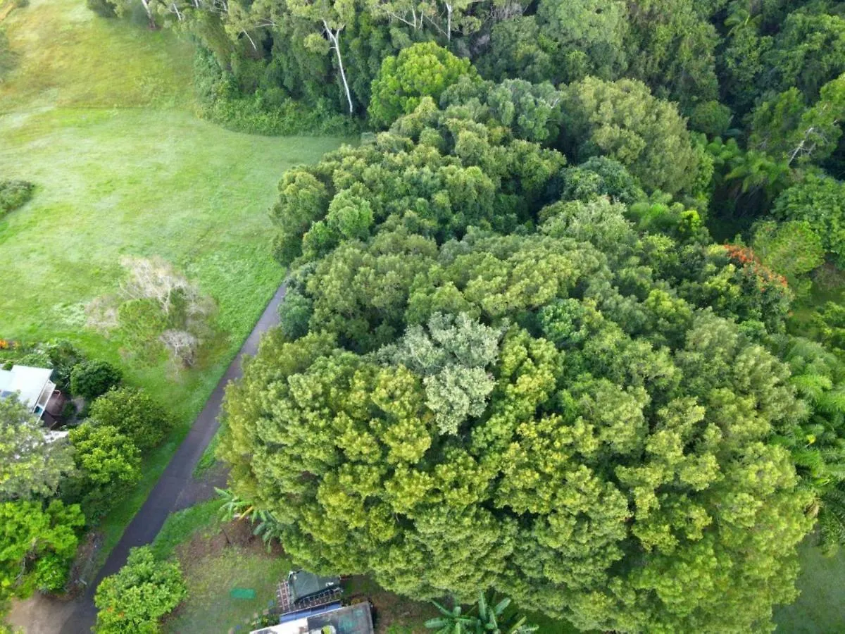 Homestay Weary Travellers Short Stop Bli Bli Australia